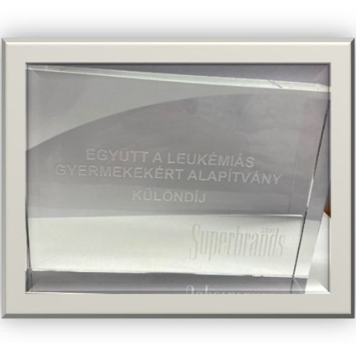 gyermekleukemia-alapitvany-superbrands-2011 (1)